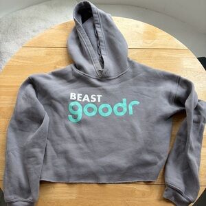 goodr ( beast goodr) Bella Canvas Gray CROP Hoodie